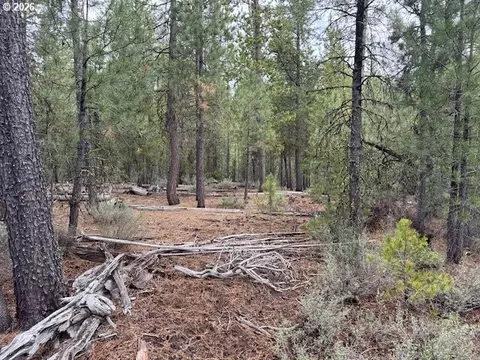 schoonover 8, Crescent, OR 97733 photo 9