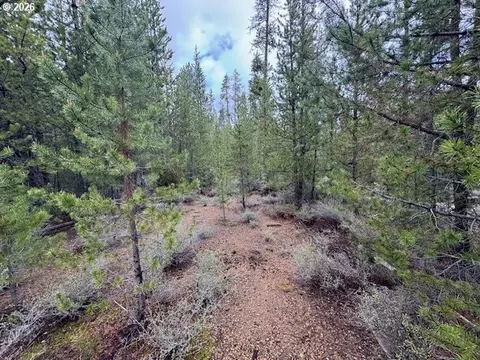 schoonover 8, Crescent, OR 97733 photo 21