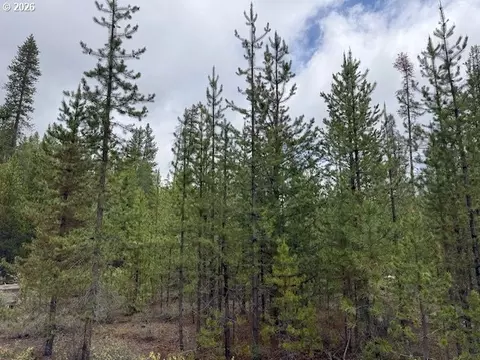 schoonover 8, Crescent, OR 97733 photo 15