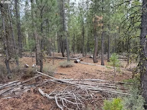 schoonover 8, Crescent, OR 97733 photo 10