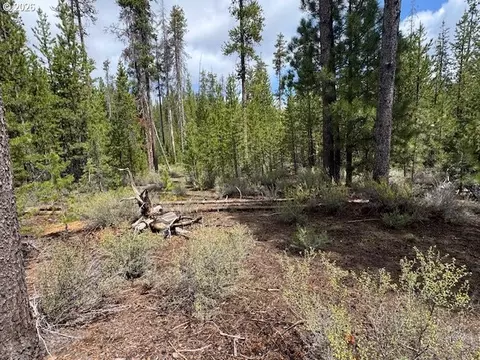 schoonover 8, Crescent, OR 97733 photo 31