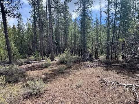 schoonover 8, Crescent, OR 97733 photo 28