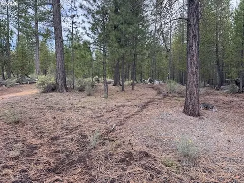 schoonover 8, Crescent, OR 97733 photo 5