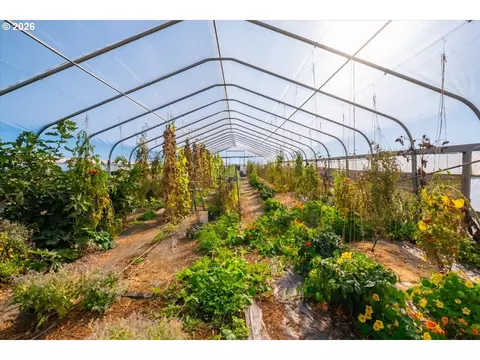 Other - 7908 Boedigheimer Rd, Sublimity, OR 97385 photo 6 of 19