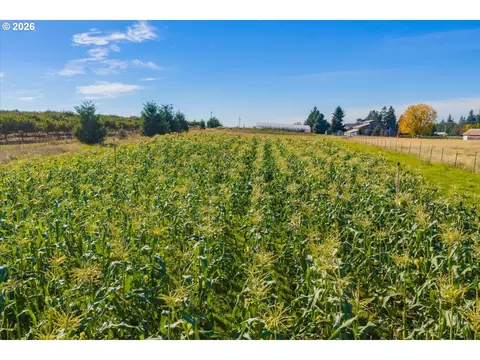 Other - 7908 Boedigheimer Rd, Sublimity, OR 97385 photo 7 of 19
