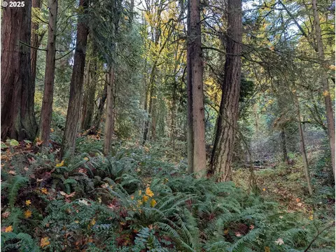 NW Thompson Rd, Portland, OR 97210