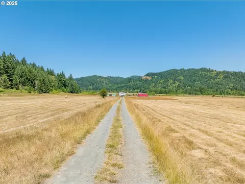 45651 Johnson Mountain Rd, Powers, OR 97466 photo 24
