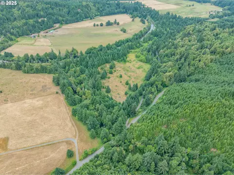 45651 Johnson Mountain Rd, Powers, OR 97466 photo 3