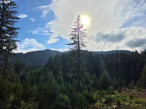 Boulder Ridge, Carson, WA 98610 photo 25