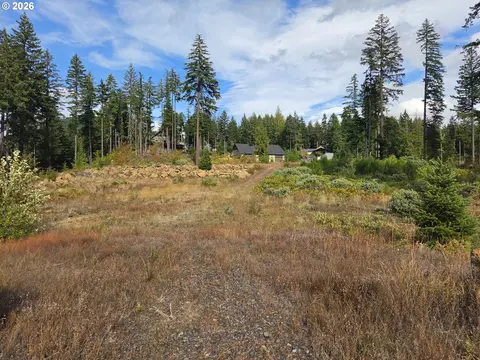 Boulder Ridge, Carson, WA 98610 photo 28