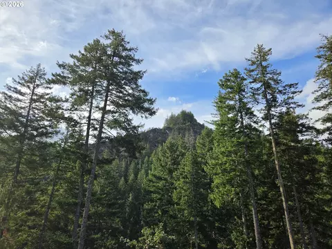 Boulder Ridge, Carson, WA 98610 photo 27