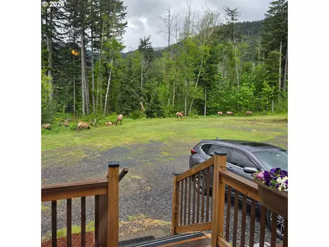 252 Blackledge Rd, Carson, WA 98610 photo 46
