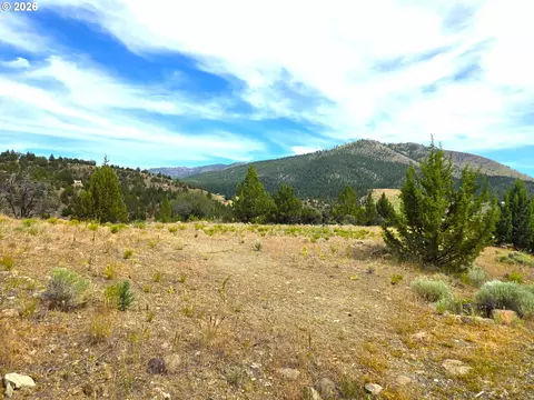 269 Elkview Drive, Canyon City, OR 97820