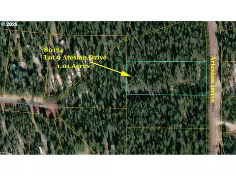 artesian dr, Chiloquin, OR 97624 photo 4