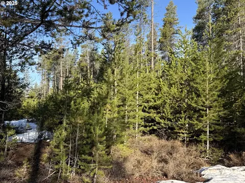 artesian dr, Chiloquin, OR 97624 photo 23