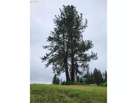0 Coombs Loop, Starkey, OR 97850