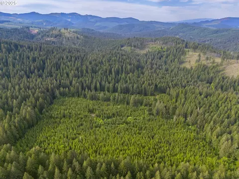 0 Shotgun Creek Rd, Marcola, OR 97454