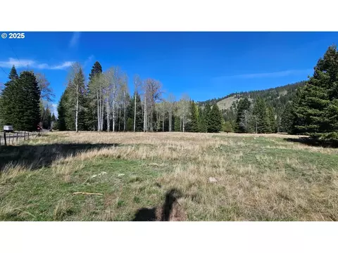 Fir Rd, Lostine, OR 97857 photo 4