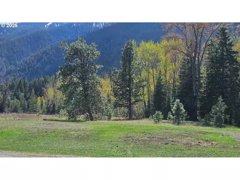 Fir Rd, Lostine, OR 97857 photo 3