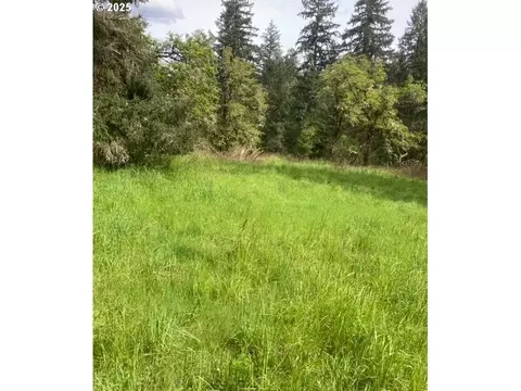 Lazy E Way Parcel 3, Creswell, OR 97426