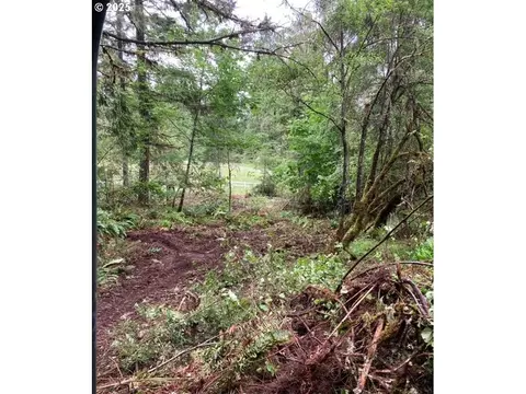 Lazy E Way Parcel 3, Creswell, OR 97426 photo 15