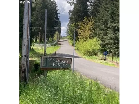 Lazy E Way Parcel 3, Creswell, OR 97426 photo 3
