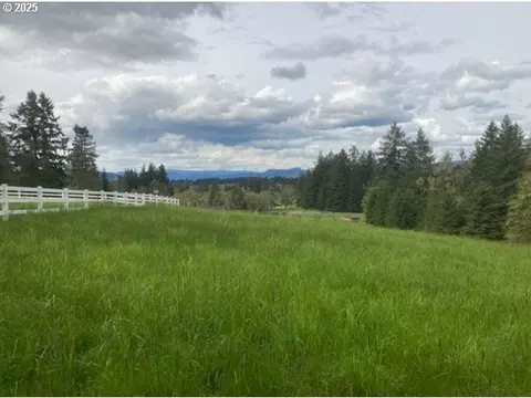 Lazy E Way Parcel 3, Creswell, OR 97426 photo 10