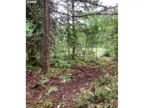 Lazy E Way Parcel 3, Creswell, OR 97426 photo 16