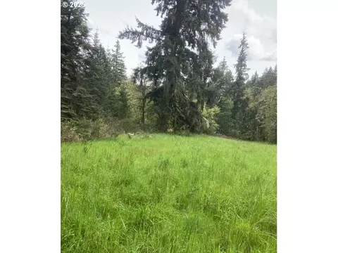 Lazy E Way Parcel 3, Creswell, OR 97426 photo 7