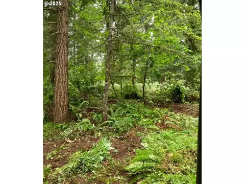 Lazy E Way Parcel 3, Creswell, OR 97426 photo 17