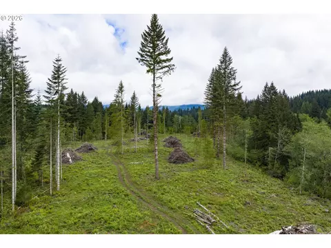 N Fork Road, Washougal, WA 98671