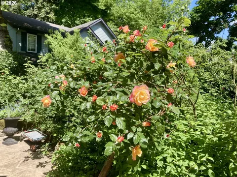 Exterior - 4366 Berry Ln, Eugene, OR 97404 photo 13 of 13