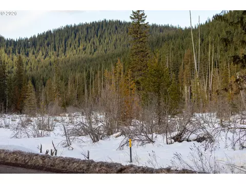 93732 E Highway 26, Government Camp, OR 97028