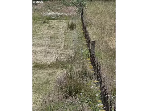 Hill Rd, Springfield, OR 97478 photo 8