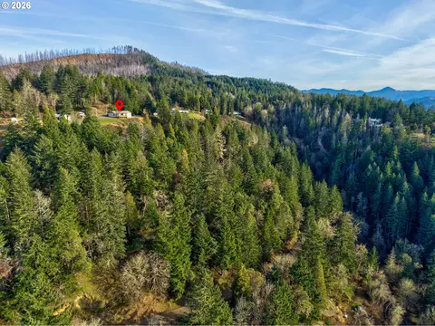 View/Area - 175 Doe Rd, Glide, OR 97443 photo 5 of 7