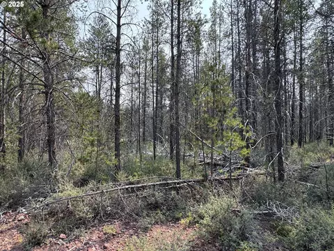 cloudcap drive, Chiloquin, OR 97624 photo 18