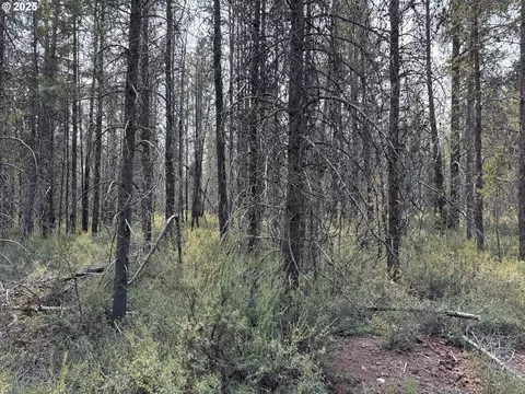 cloudcap drive, Chiloquin, OR 97624 photo 13