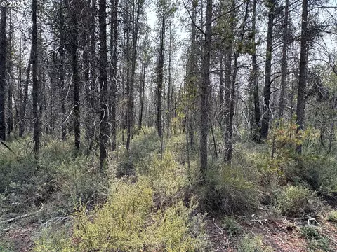 cloudcap drive, Chiloquin, OR 97624 photo 14