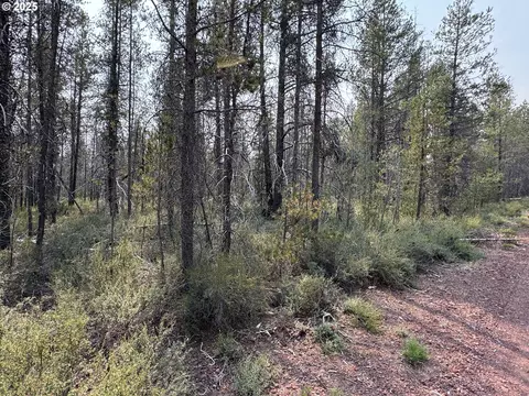 cloudcap drive, Chiloquin, OR 97624 photo 15