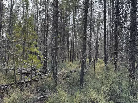 cloudcap drive, Chiloquin, OR 97624 photo 12