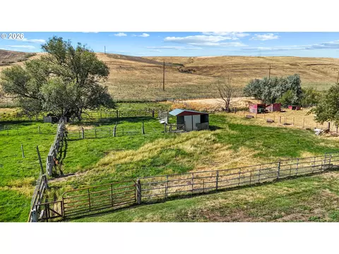 46113 Adams Rd, Pendleton, OR 97801 photo 29