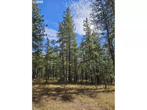 50 Jefferson Vis, Goldendale, WA 98620