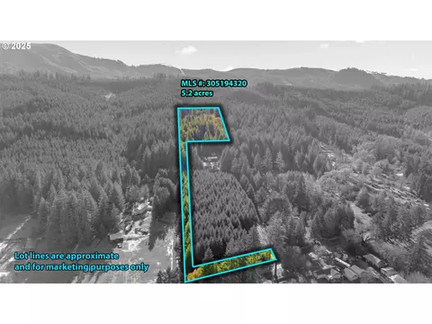 Wendling Rd, Marcola, OR 97454