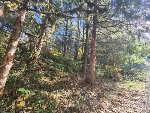 Other - 85266 Chezem Rd, Eugene, OR 97405 photo 3 of 7