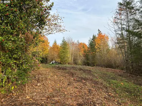 ne fargher dr, Yacolt, WA 98675