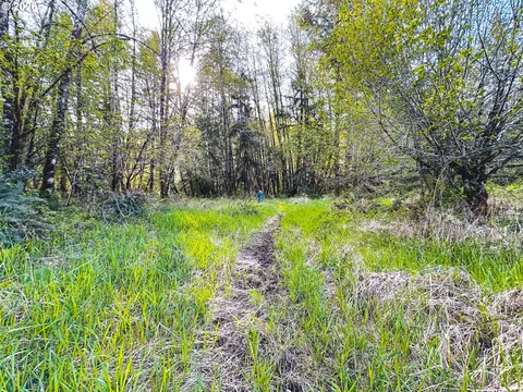 nelson mountain rd, Walton, OR 97490 photo 35