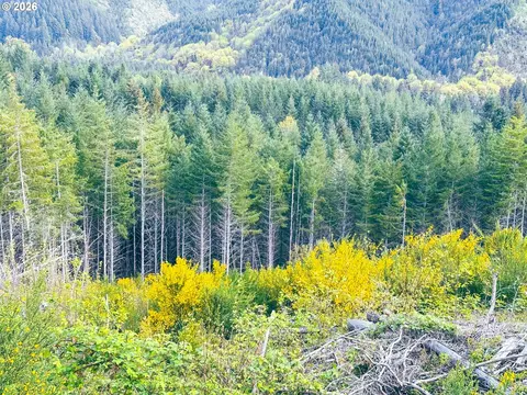 nelson mountain rd, Walton, OR 97490 photo 21