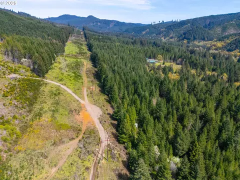 nelson mountain rd, Walton, OR 97490 photo 15