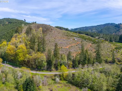 nelson mountain rd, Walton, OR 97490 photo 10