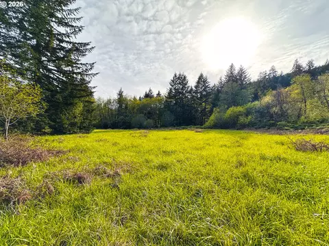 nelson mountain rd, Walton, OR 97490 photo 32